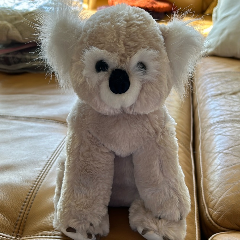 Dan Dee collectors choice Koala plush stuffed animal toy.